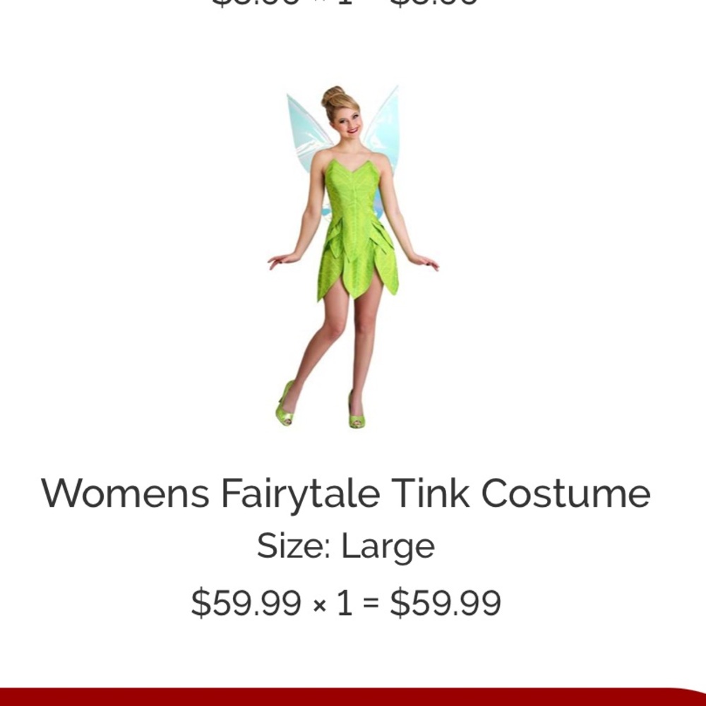 Women’s Large Tinkerbell costume